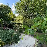 Nerry's Garden Izmit - Rose * Yukari Mecidiye