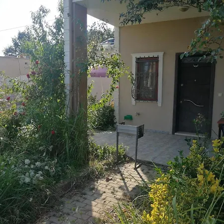 Nerry's Garden Izmit - Rose * Yukarı Mecidiye